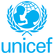 the logo of the united nations